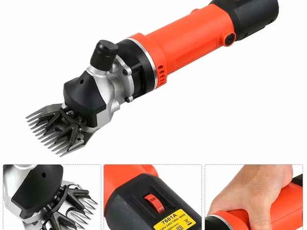 Qoyun qırxan 
Qoyun qirxan 
Qoyun qırxan 
690w