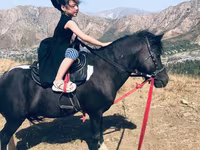 Caballo, Shetland Pony — foto 1