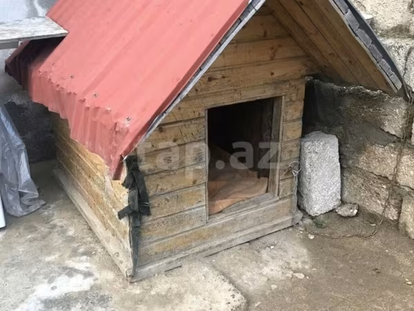Taxta it evi - Material: qalın taxta karkas, ikiqat qırmızı