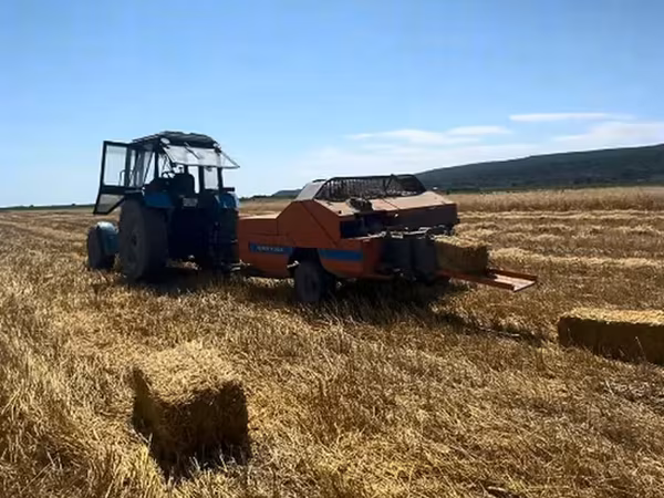 Məhsul: Hazır paçka (saman/ot bağlaması) Qiymət: 0.5 qəpik – hazır