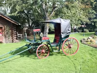 Caballo, Caballos — foto 3