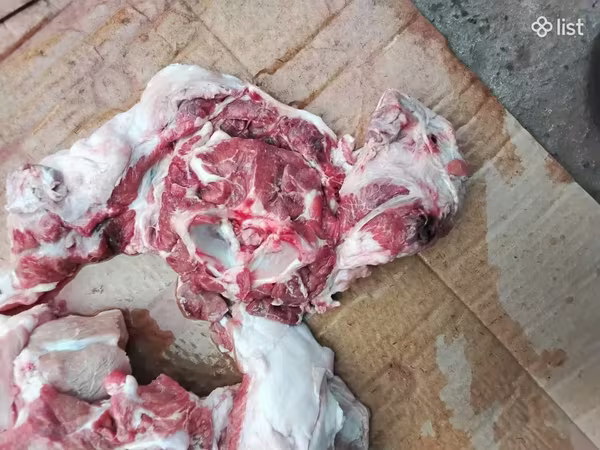 Խոզի ոչ շատ յուղոտ թարմ միս ֆերմայից