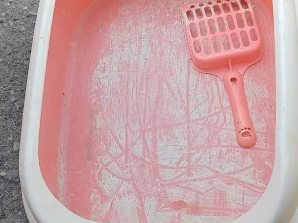 Məhsul: Pişik tualeti qabı və kürəciyi - Material: davamlı plastik -
