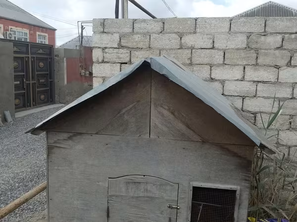 Taxta toyuq/broyler yuvası (mini tövlə) - Material: qalın faner