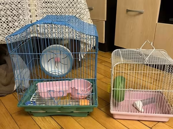 Hamster və ya kiçik gəmiricilər üçün iki ədəd qəfəs komplekti Mavi
