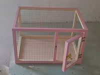 Dovşan,hamster,şinşila,bildirçin,cücə,xamyak,pişik,quş ve s kimi ev — Foto 3
