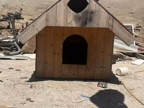 Taxta it evi altida var balaca itler ucun - Material: qalın taxta