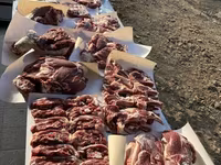 Carnero, Ovejas — foto 6