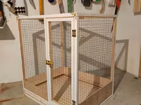 Papuqay,dovşan,hamster,şinşila,bildirçin,cücə,xamyak,pişik,quş,tısbağa — Foto 4