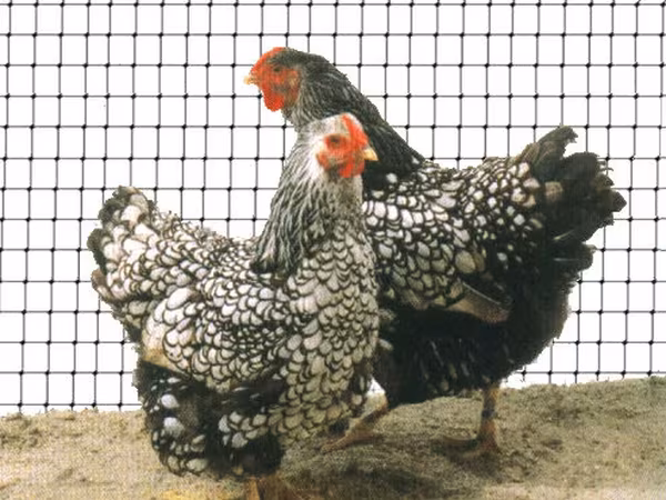 Вольерная сетка для птиц