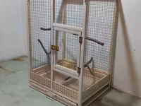 Papuqay,dovşan,hamster,şinşila,bildirçin,cücə,xamyak,pişik,quş,tısbağa — Foto 1