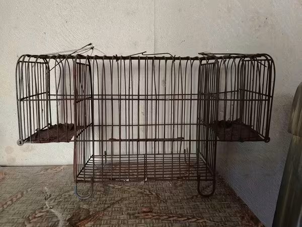 Metall teldən hazırlanmış iki girişli canlı tələ qəfəsi - Material