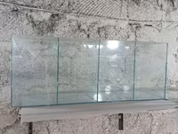 Ակվարիում բաժանած 4 սեկցիաների — Foto 2