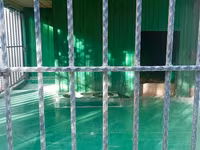 1 ildir alınıb 6 ay istifadə olunub it artıq olmadığı üçün satılır 650 — foto 5