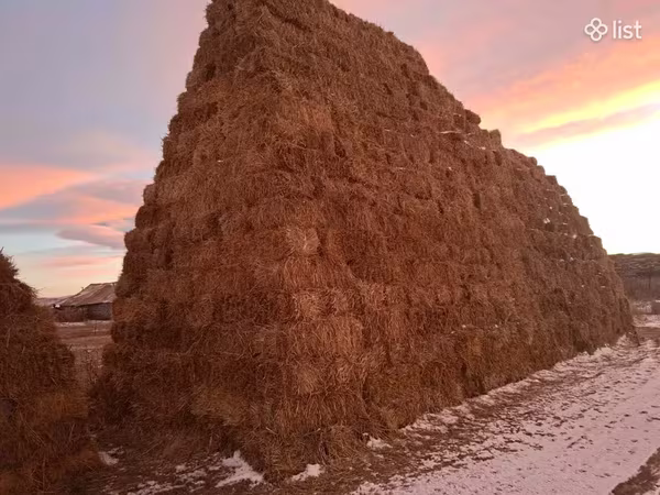 Ցորենի սալոմ 1,10 1,20 տուկեր