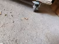 Quşxana içinin 16 xanasıda var təkərlidi hara isdəsən apara — 照片 2