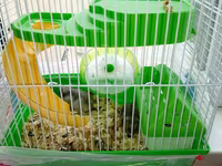 Cücə hamsterlər üçün tam komplekt qəfəs dəsti. Şəkillərdə görünən — Foto 2