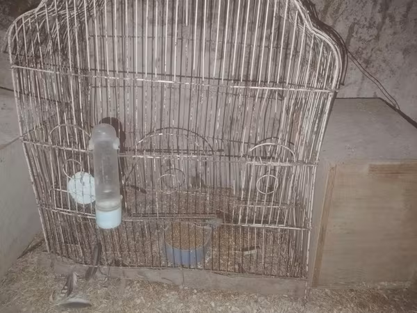 2 si 30 m zabrat 2 de yerləşir karella ücün qefes herşey üsdünde