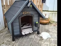 Taxta it evi – dekorativ fasadlı, gable (ikieğimli) damlı modellər - — Foto 5
