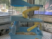 Hamster və balaca gəmiricilər üçün qəfəs - Rəng: açıq mavi plastik — الصورة 2
