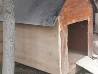 Açıq havada istifadə üçün taxta it evi - Material: qalın taxta — الصورة 1