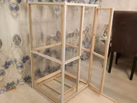 Papuqay,dovşan,hamster,şinşila,bildirçin,cücə,xamyak,pişik,quş,tısbağa — Foto 3