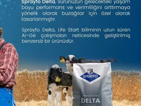 Sprayfo Delta buzov süd əvəzedicisi buzovların sağlam inkişafı və — foto 5