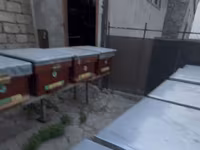 Arıçılıq üçün taxta arı yeşikləri (pətəklər). İçində 6 ay arı — фото 3
