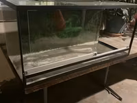 Şüşə teraryum/vivaryum akvarium tipli şkaf - Material: qalın şüşə — 照片 1