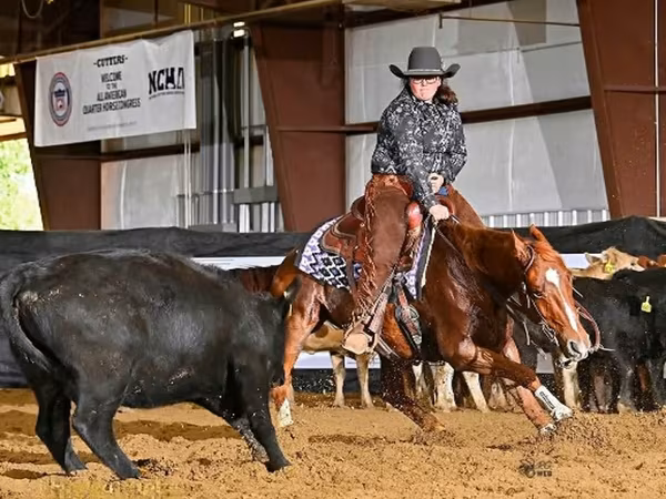 At, Quarter Horse