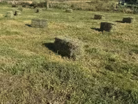 Խոտի տուկ Խառ խոտ — الصورة 5