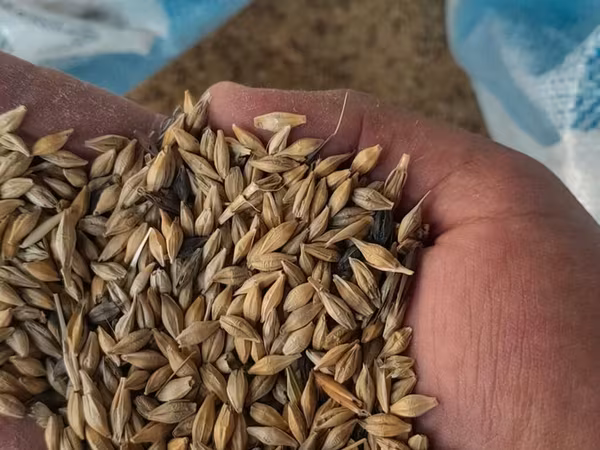 Yem qabı, Yem üçün, Heyvanlar üçün, Rayonlara çatdırılma, Ünvandan götürmə, Ödənişli çatdırılma
