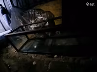 Ակվարիումներ, ձկների համար, ձկներ, ձուկ — foto 4