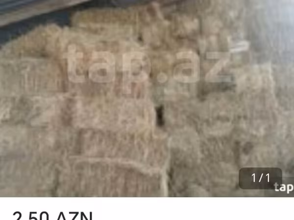 Məhsul: Yonca presi (balya şəklində quru ot/saman) Təsvir: - Heyvan