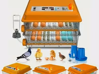 Yeni tam avtomatik inkubator 120 yumurta.Akumlyator 12V qoşulma — الصورة 2