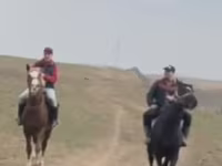 Caballo, Kazakh horse — foto 3