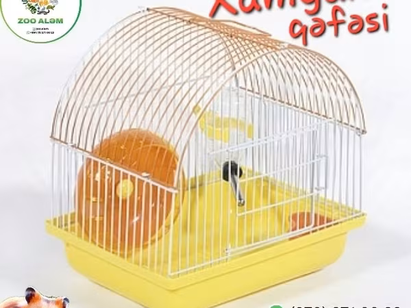 Xamyak və cunqarik qəfəsi. Sadə və kompakt dizaynda hazırlanmış bu