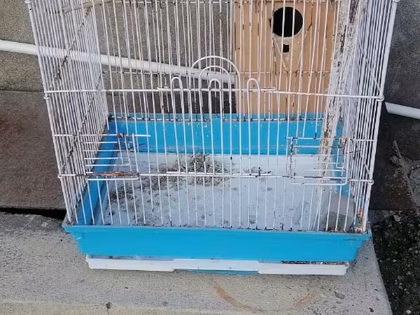 Quş qəfəsi və yuva qutusu - Material: metal barmaqlıqlar, möhkəm