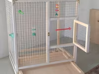 Papuqay,dovşan,hamster,şinşila,bildirçin,cücə,xamyak,pişik,quş,tısbağa — foto 3