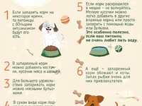 Корм для собак экструдированный — zdjęcie 2