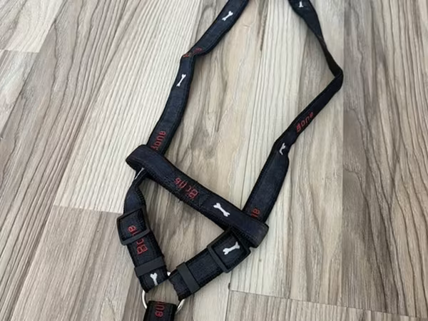 İt üçün sinə qayışı (harness) - Rəng: qara, üzərində “Bone” yazıları