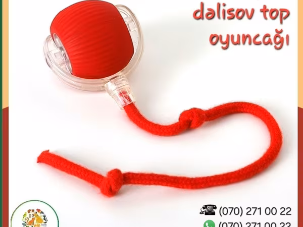 Ağıllı top oyunçağı (pişik və it üçün) Ev heyvanınızı darıxmağa