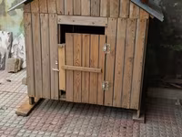 Taxta it evi / dam - Material: təbii taxta lövhələr, möhkəm karkas - — foto 1