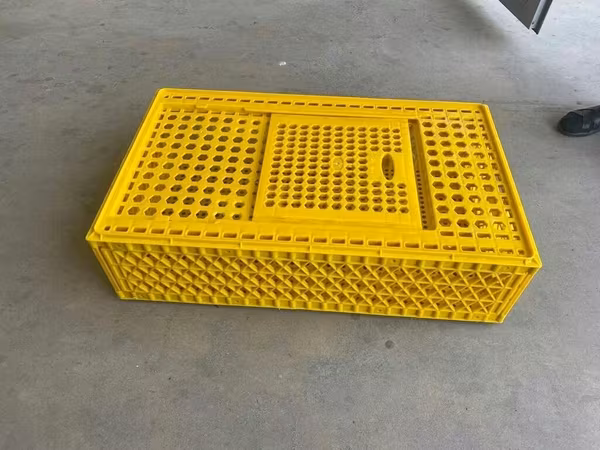 Toyuq daşıyan səbət böyük Bu yüksək keyfiyyətli sarı plastik toyuq