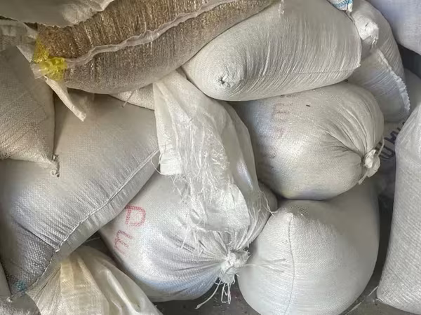 Ցորեն լավ որակի ցորեն