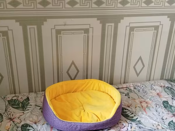 Ev heyvanlari ucun yataq 1 defe islenib tep temizdir unvan Zorgi