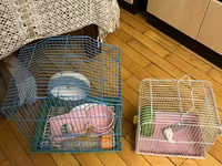 Hamster və ya kiçik gəmiricilər üçün iki ədəd qəfəs komplekti Mavi — фото 2