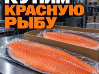 Говядину, некондицию — foto 5