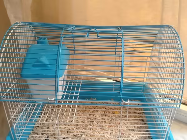 Kiçik heyvan qəfəsi – hamster, siçan və ya digər gəmiricilər üçün. -