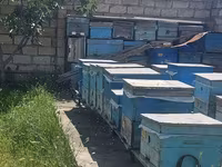 Arıçılıq üçün hazır pətək və avadanlıq dəsti - Şəkillərdə gördüyünüz — photo 4